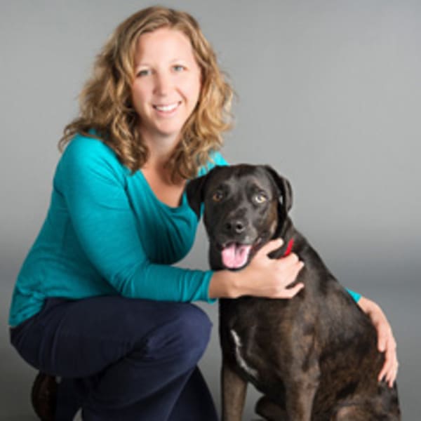 Dr. Avery Silvers, Jacksonville Fear Free Certified Veterinarian